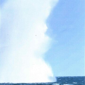 Un vicentino al Bomba Day di Marghera