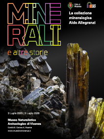 Minerali e altre storie.                                                  La collezione mineralogica Aldo Allegranzi